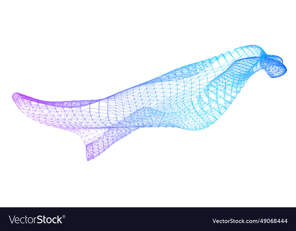 Network lines net wave information flow