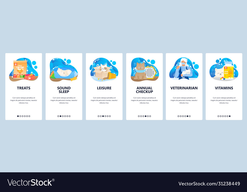 Veterinary website and mobile app onboarding Vector Image