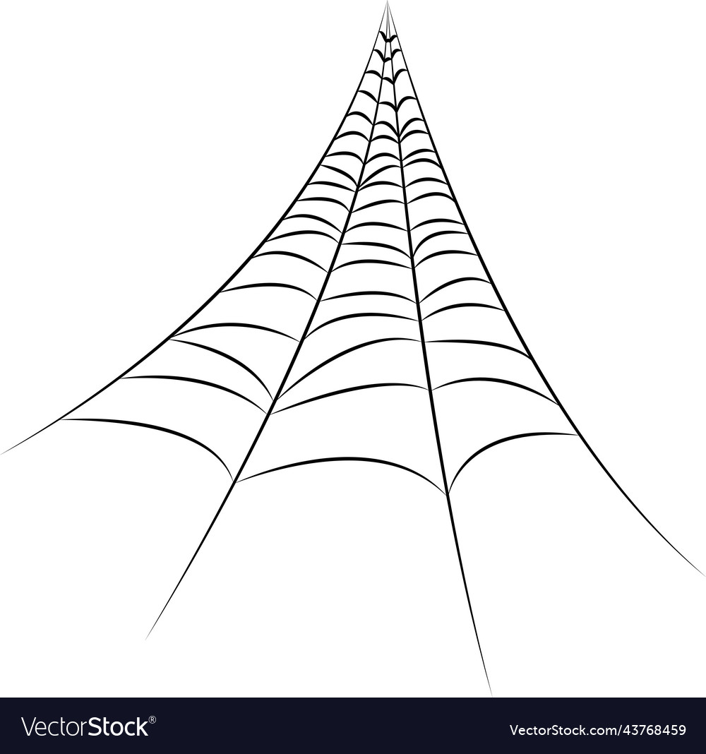 Cobweb in black color spider web