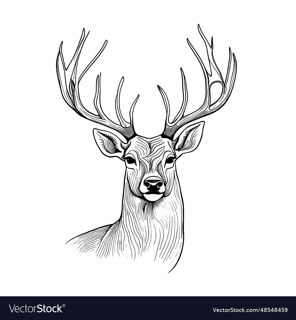 Graphic animal black and white vector image Graphic animal black and white