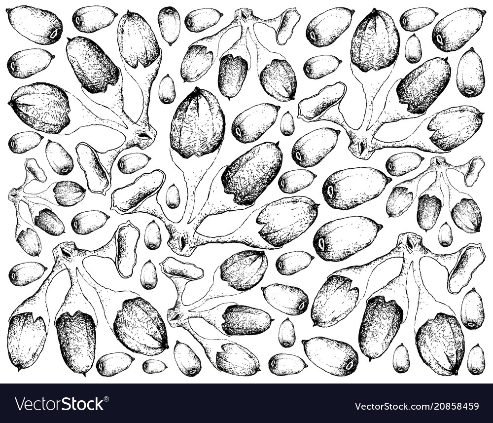 Hand drawn background of buah fruits