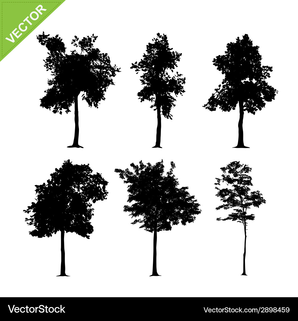 Tree silhouettes Royalty Free Vector Image - VectorStock
