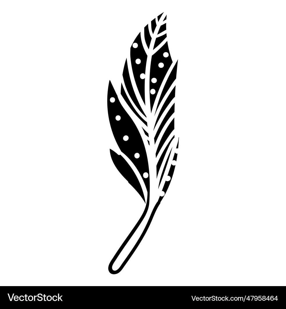 Boho feather Royalty Free Vector Image - VectorStock