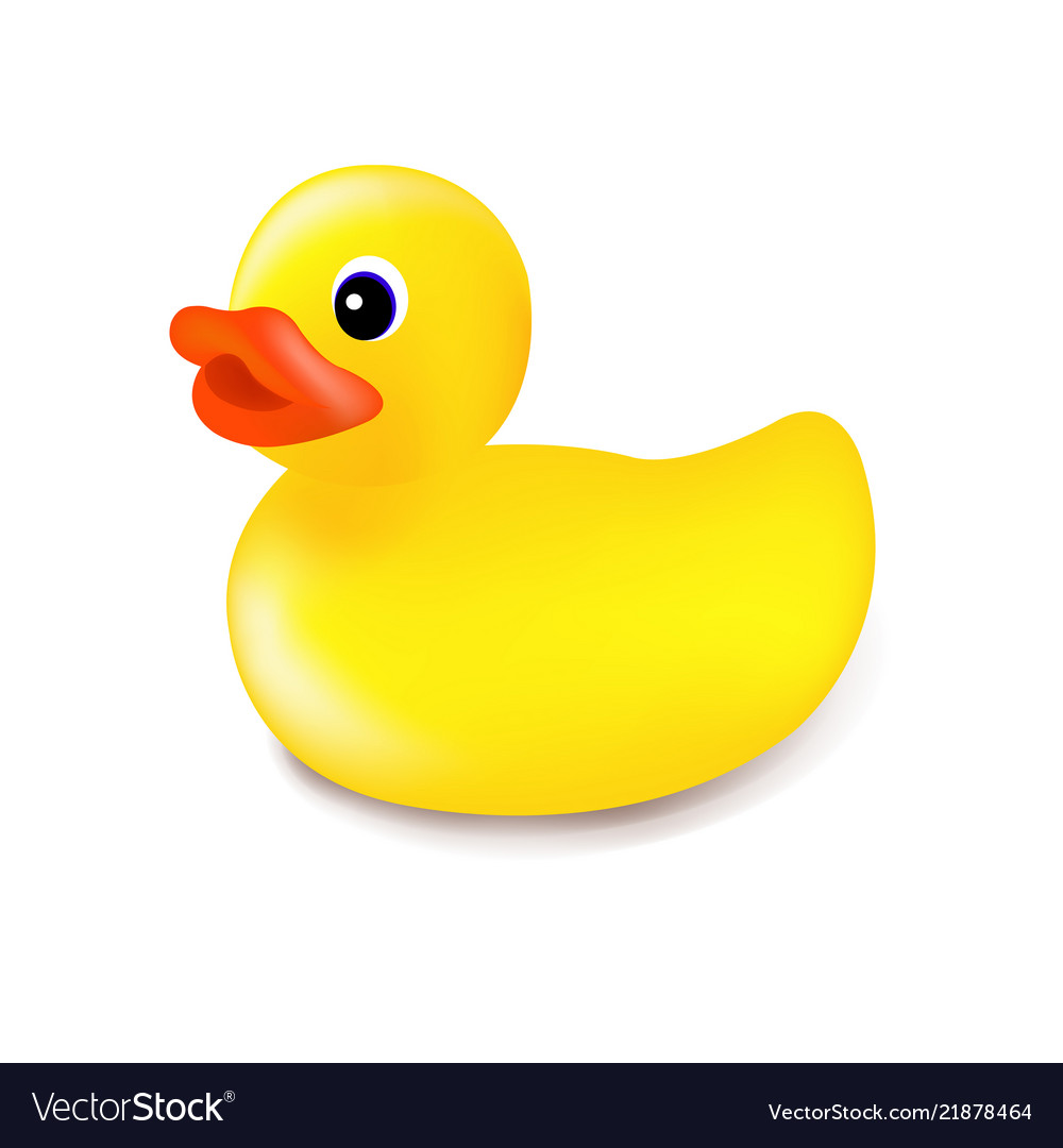 Rubber duck isolated Royalty Free Vector Image