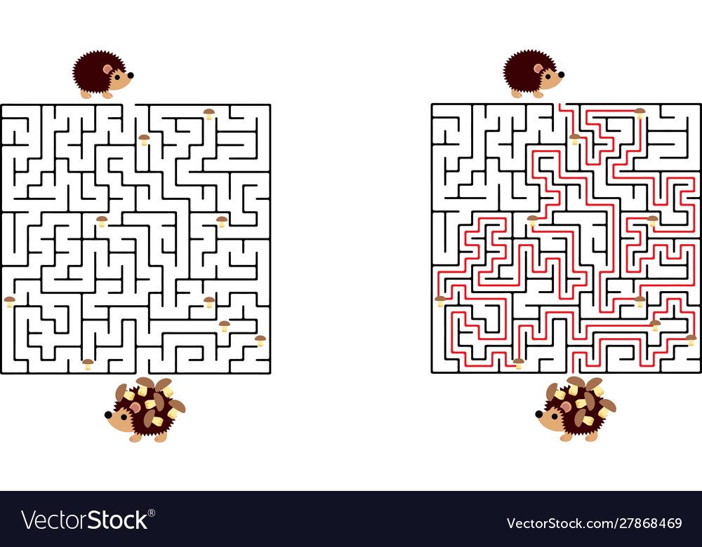 Black rectangular labyrinth with an input Vector Image Black rectangular labyrinth with an input