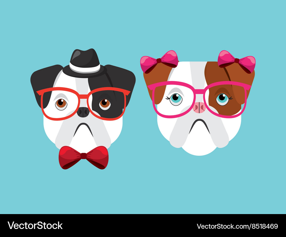 English bulldog design Royalty Free Vector Image