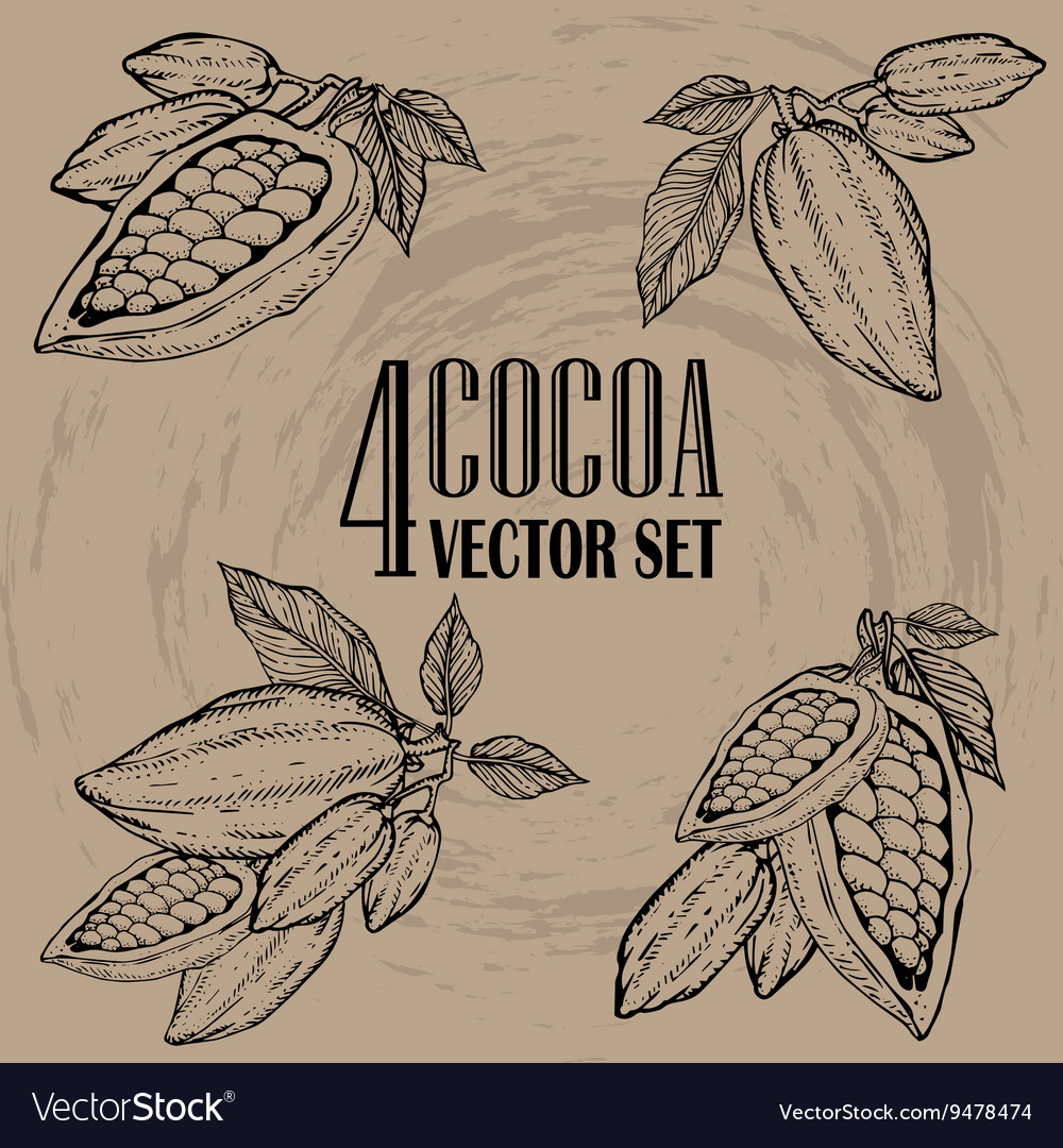Cocoa set