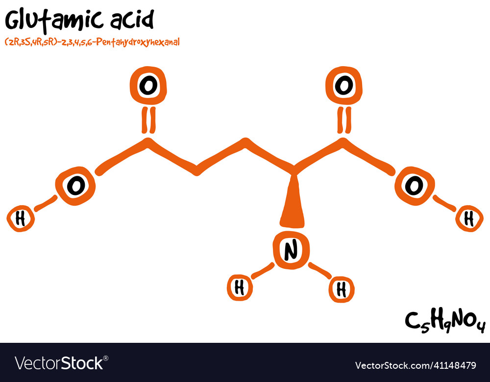 Drawn molecule and formula of glutamic acid