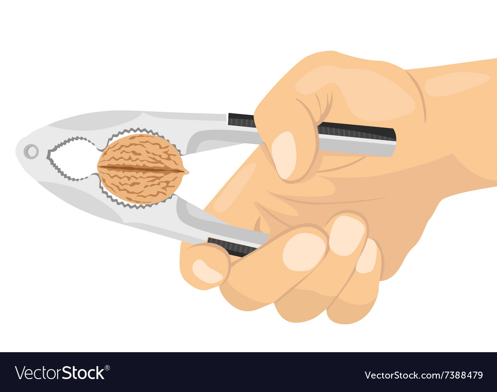 Hand using a nutcracker to crack a nut Royalty Free Vector