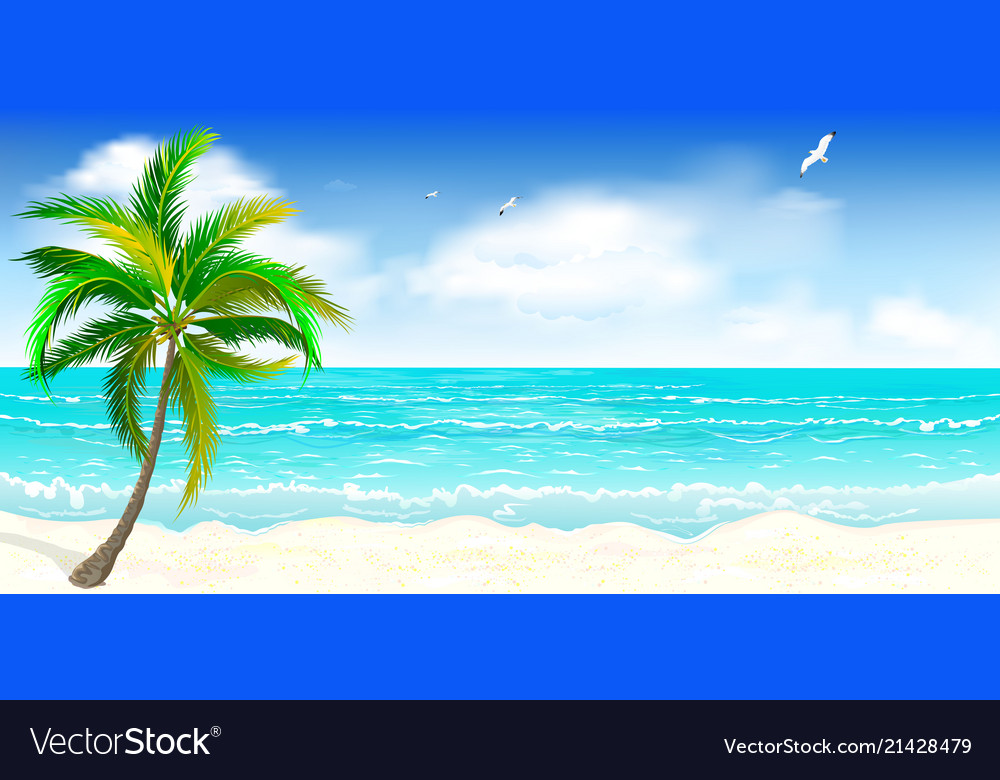 Tropical sandy beach Royalty Free Vector Image