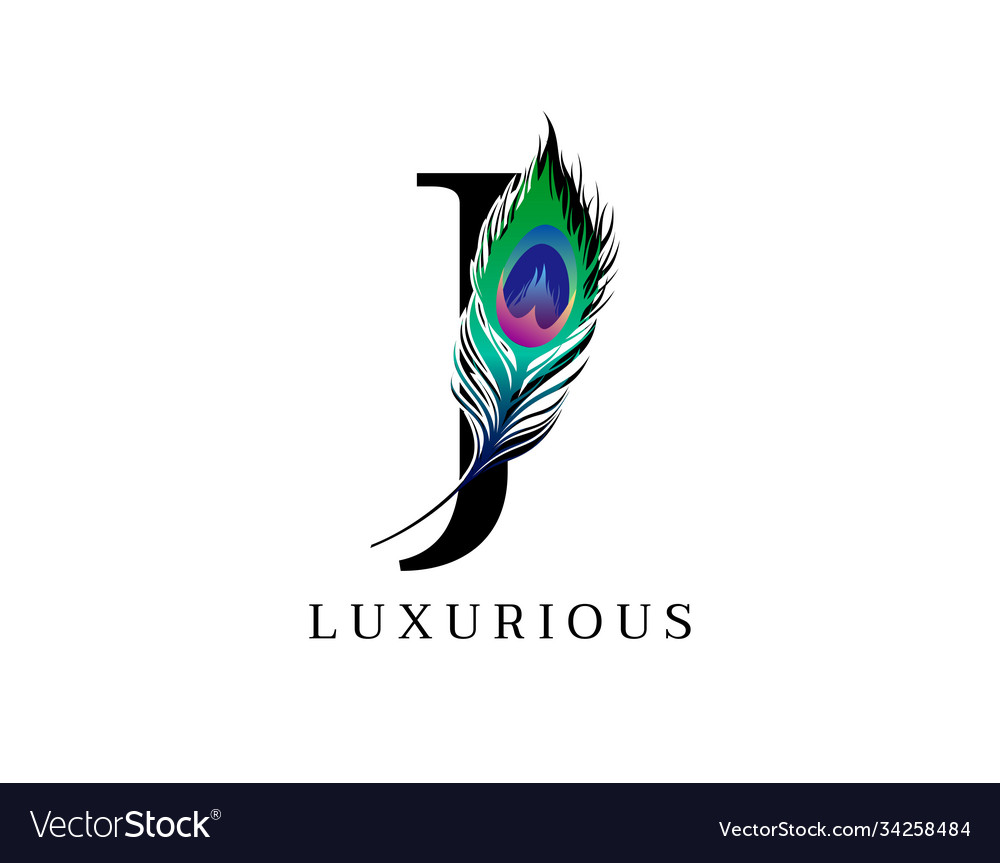 J letter decorated with exotic peacock feather Vector Image