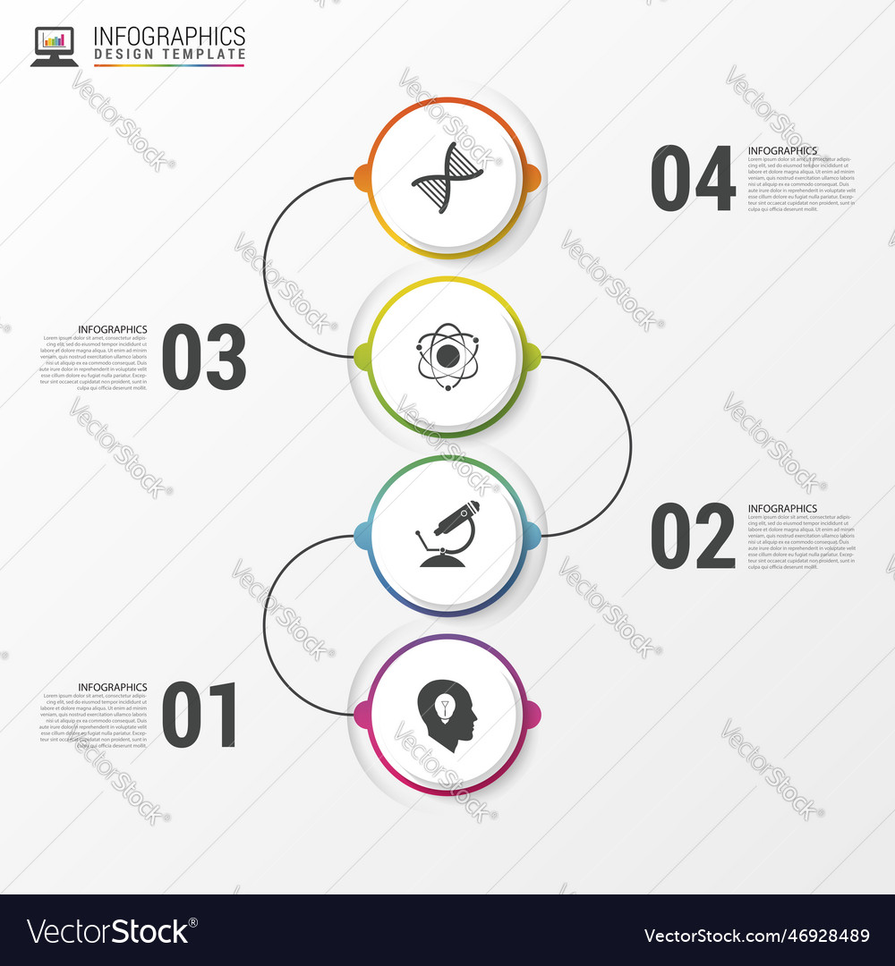 Timeline infographics template colorful modern Vector Image