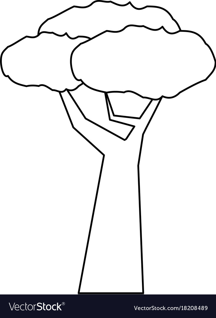 Tree icon image