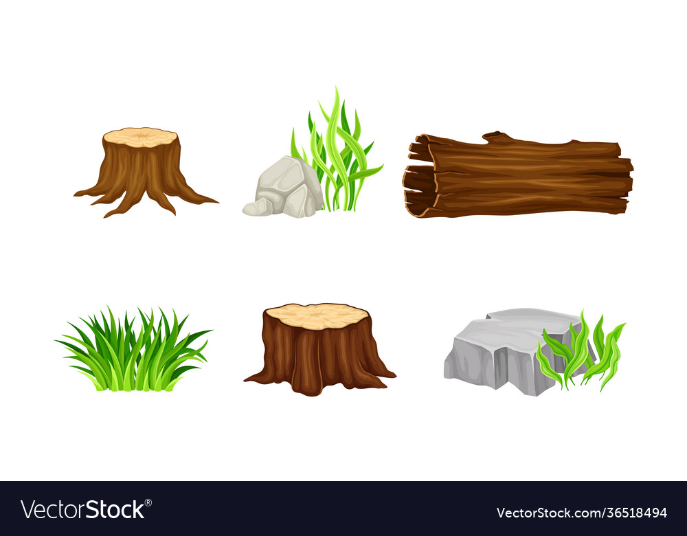 Rustic Tree Stump and Stone Landscape