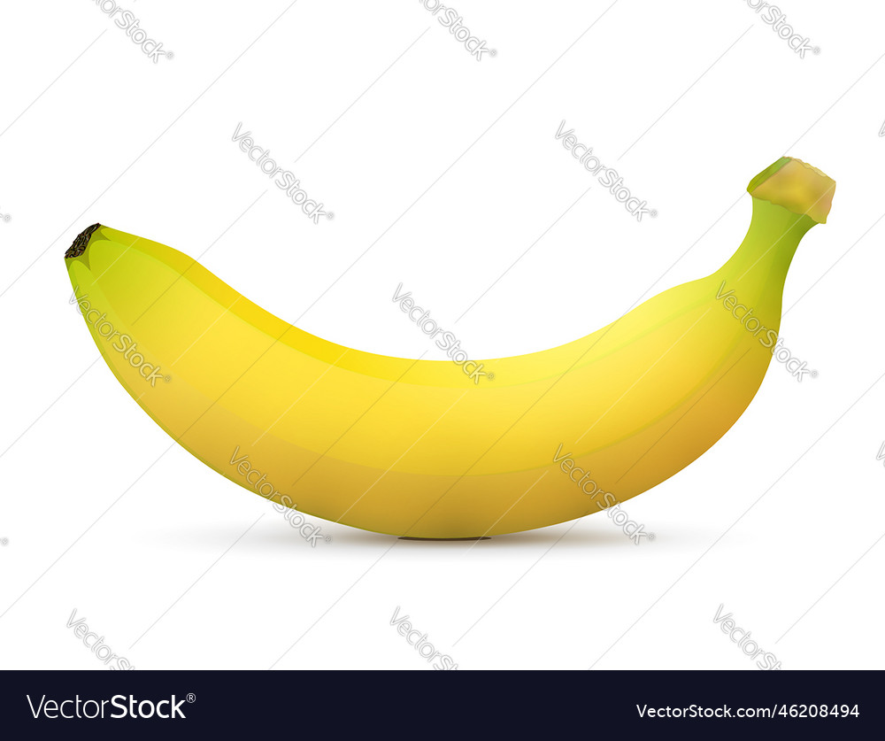 Single banana fruit close up