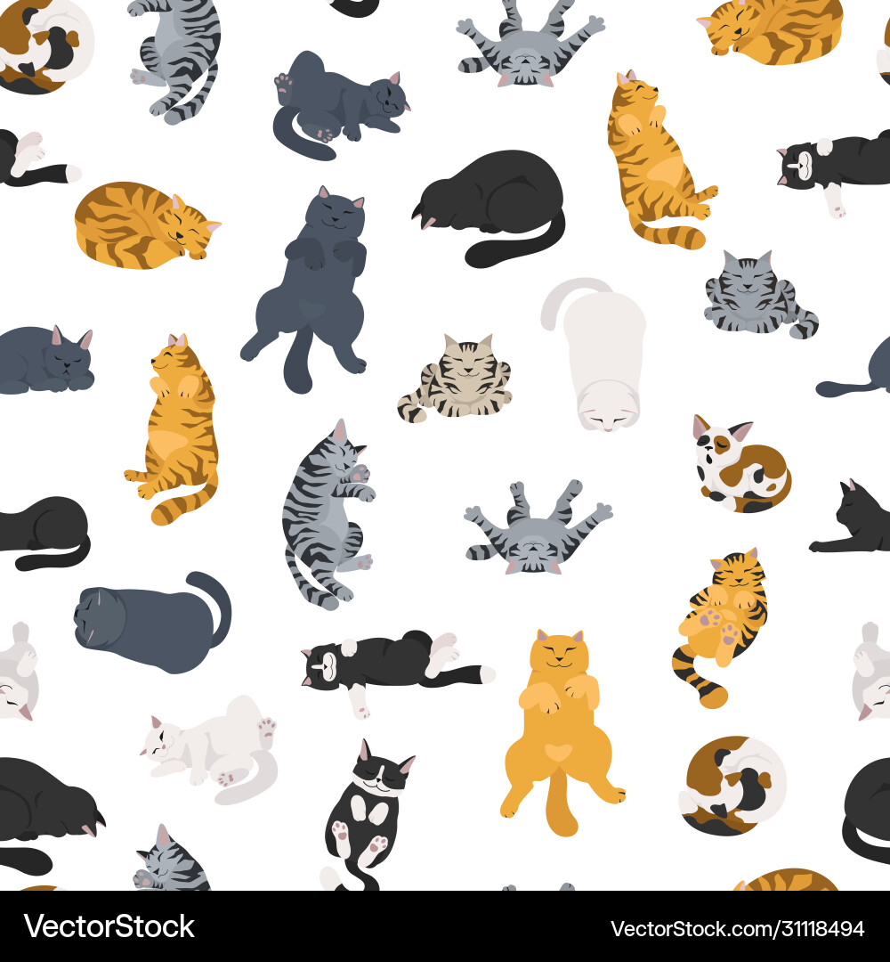 Sleeping cats poses seamless pattern flat Vector Image