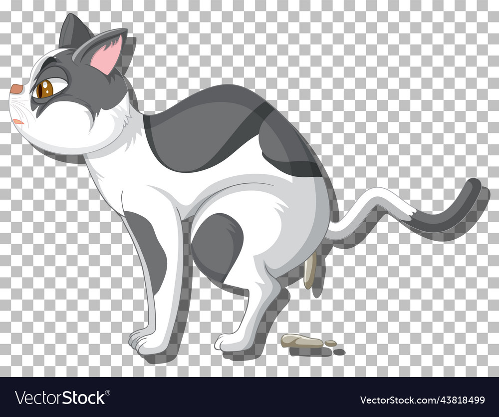 Pooping cat cartoon character Royalty Free Vector Image