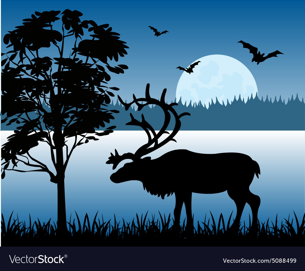 Reindeer beside lake Royalty Free Vector Image