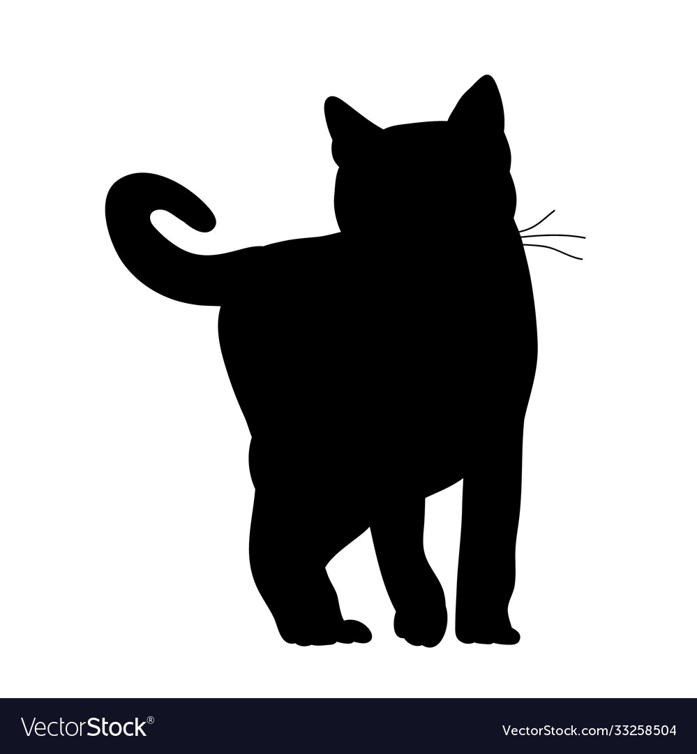 Black silhouette a cat is standing Royalty Free Vector Image