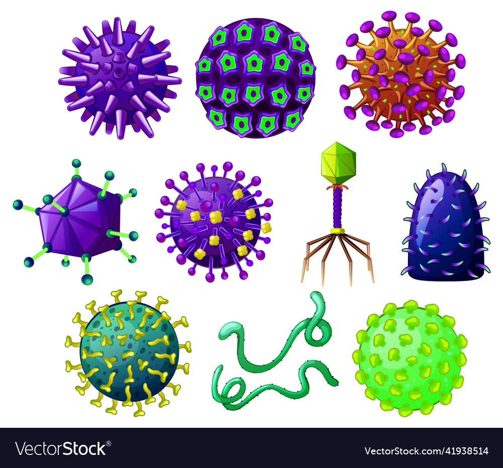 Different shapes of viruses Royalty Free Vector Image