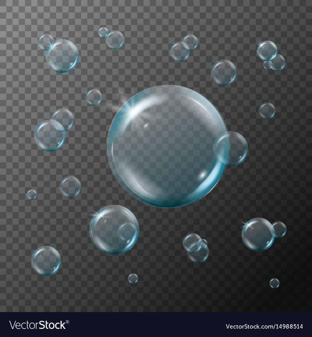 Shampoo or soap foam bubbles on transparent Vector Image