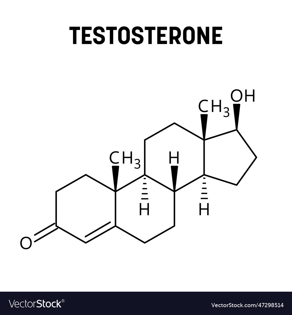 Testosterone structural formula of molecular Vector Image