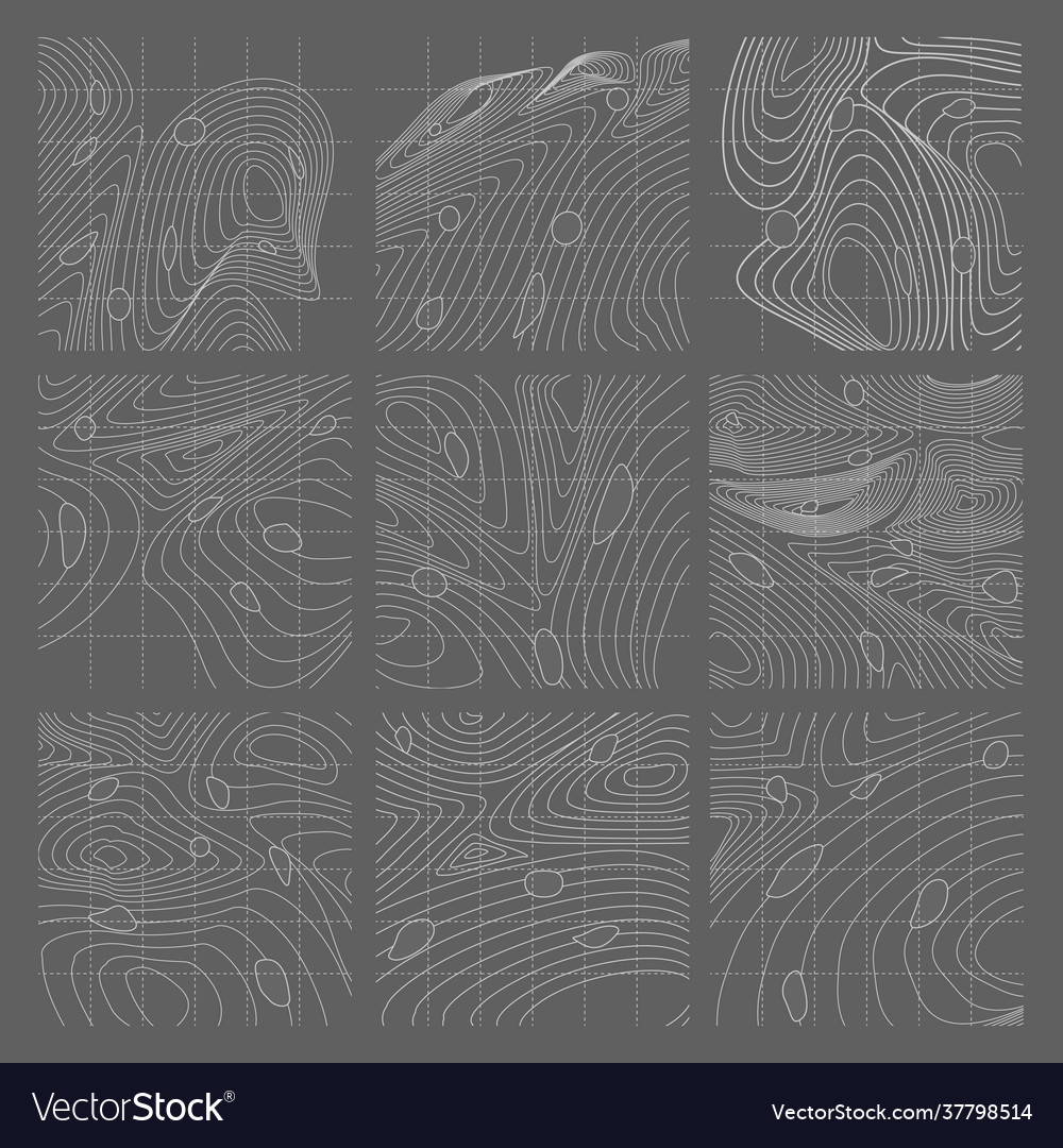 White and gray abstract contour lines map set vector image White and gray abstract contour lines map set