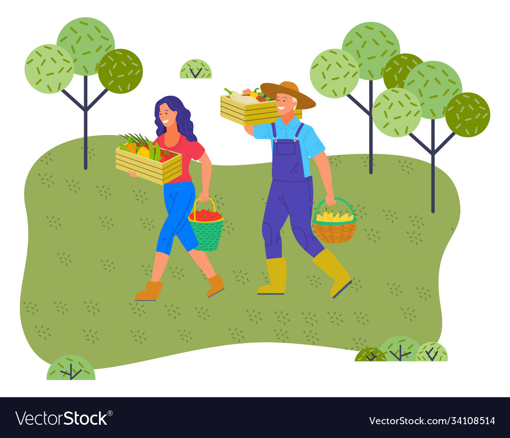 Woman and man farmers with harvest in boxes