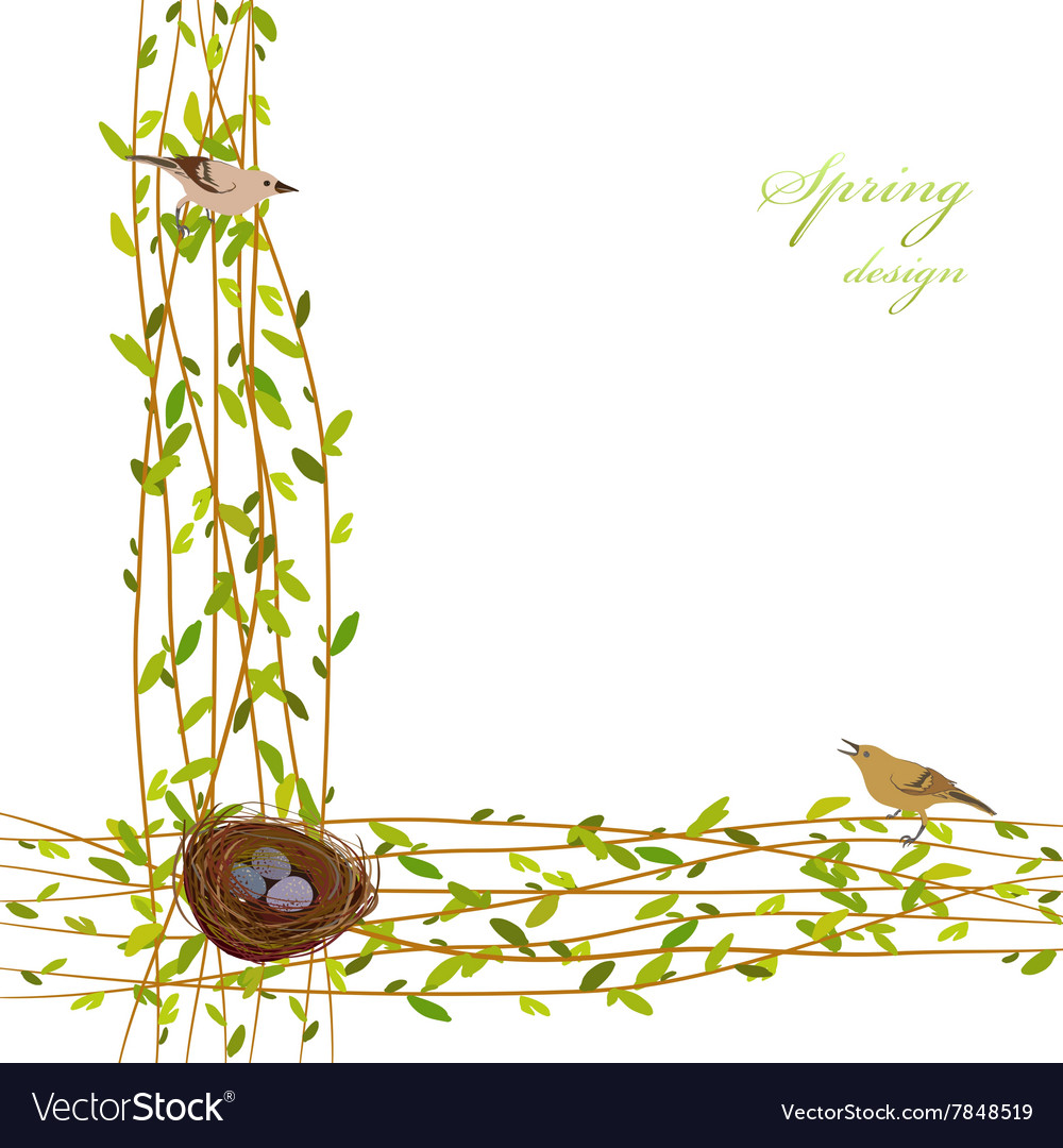 Spring twigs background