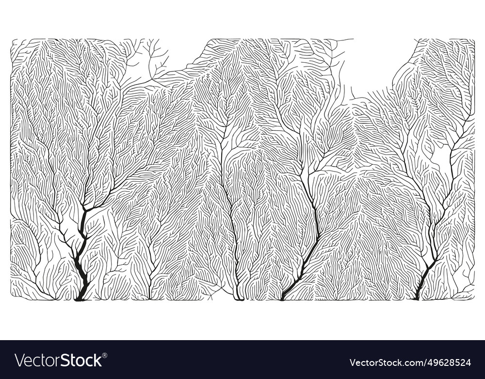 Growth pattern generative branching structure