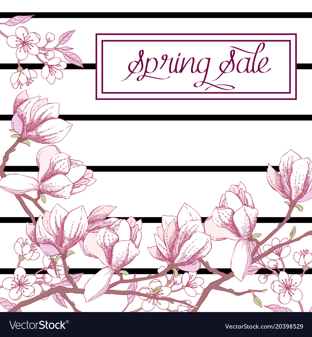 Spring sakura and magnolia background