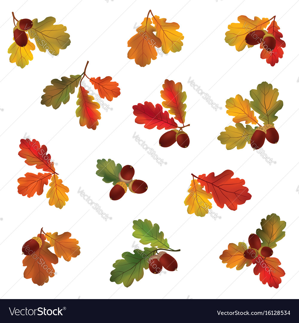 Autumn icon set fall leaves and berries nature