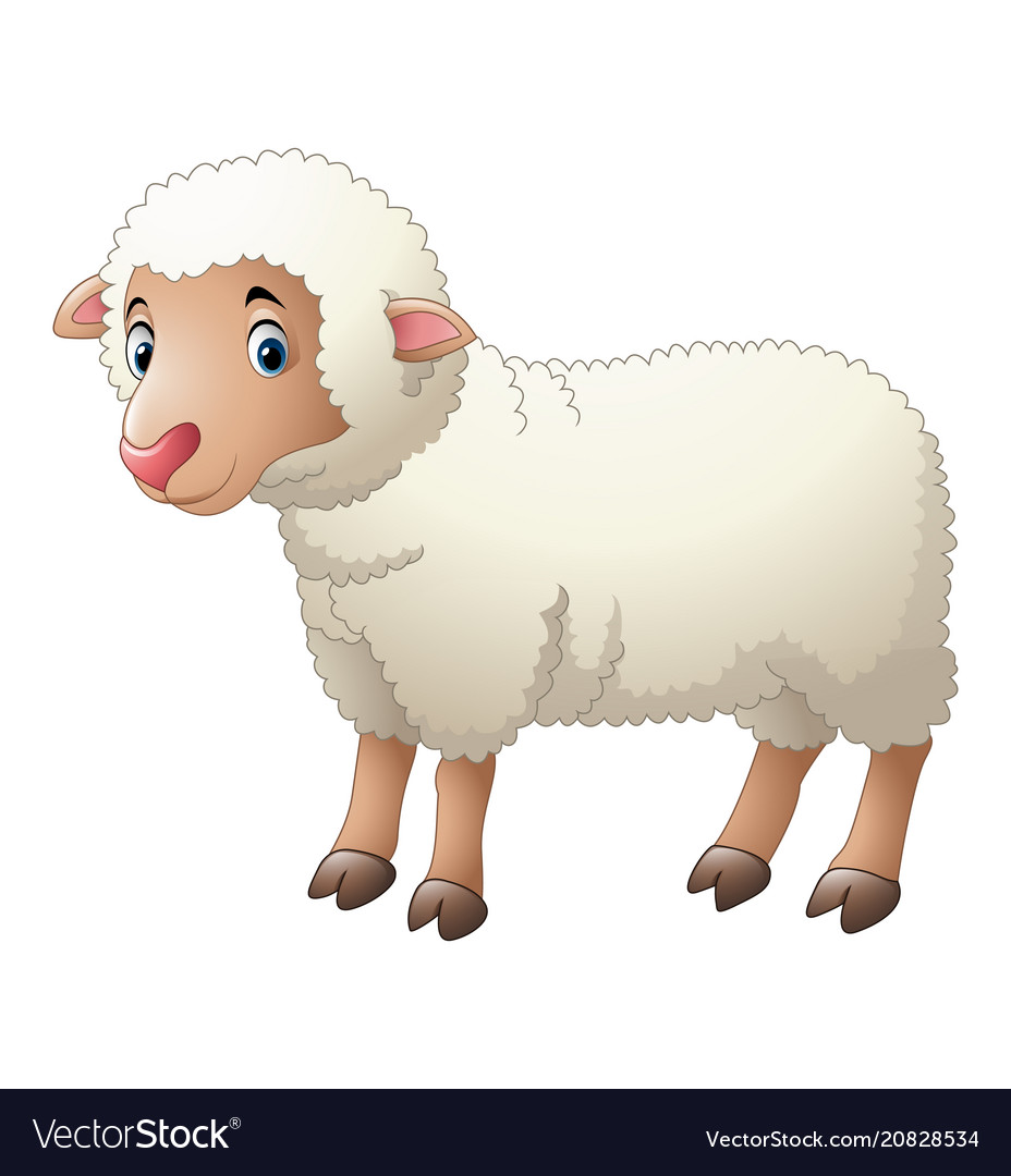 Cartoon of cute sheep animals and interesting