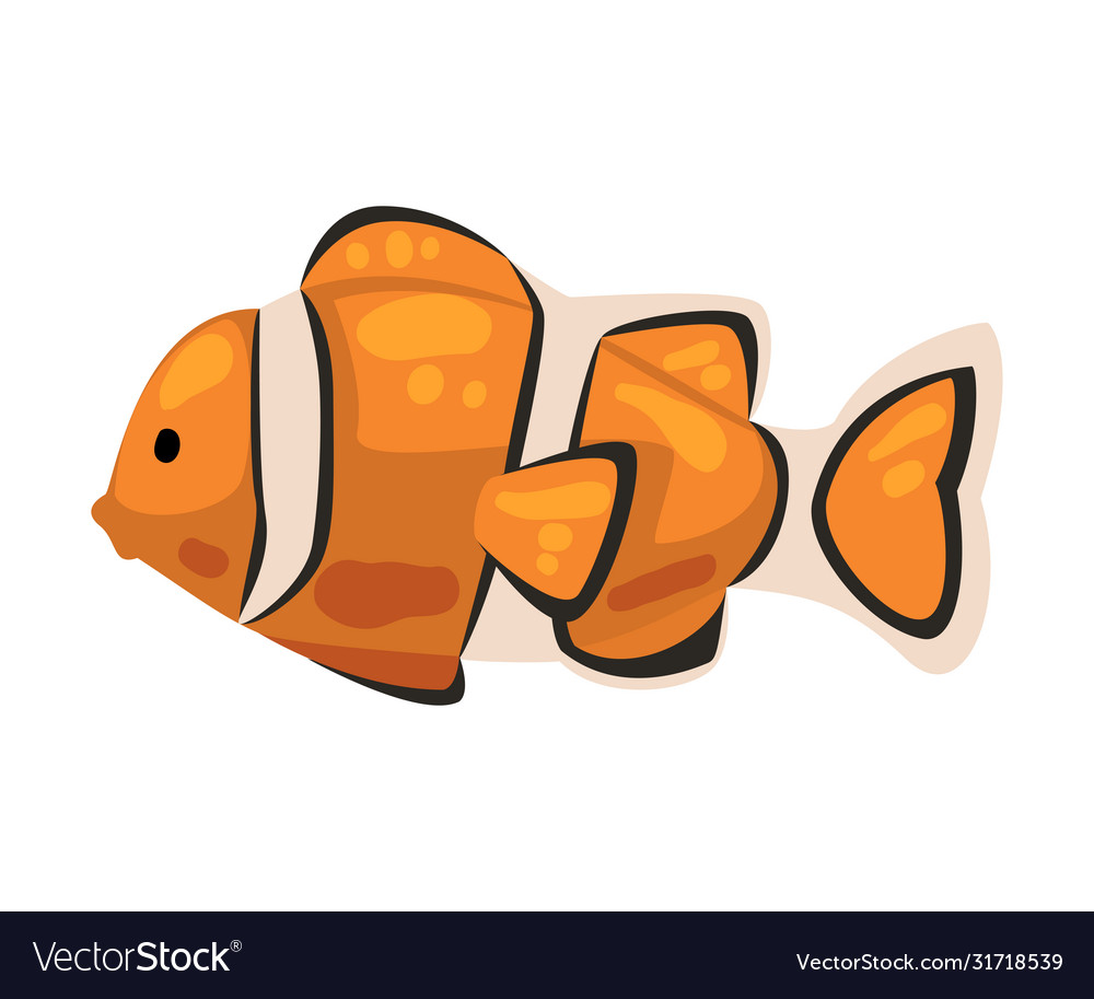 Clown fish marine life element sea or ocean Vector Image