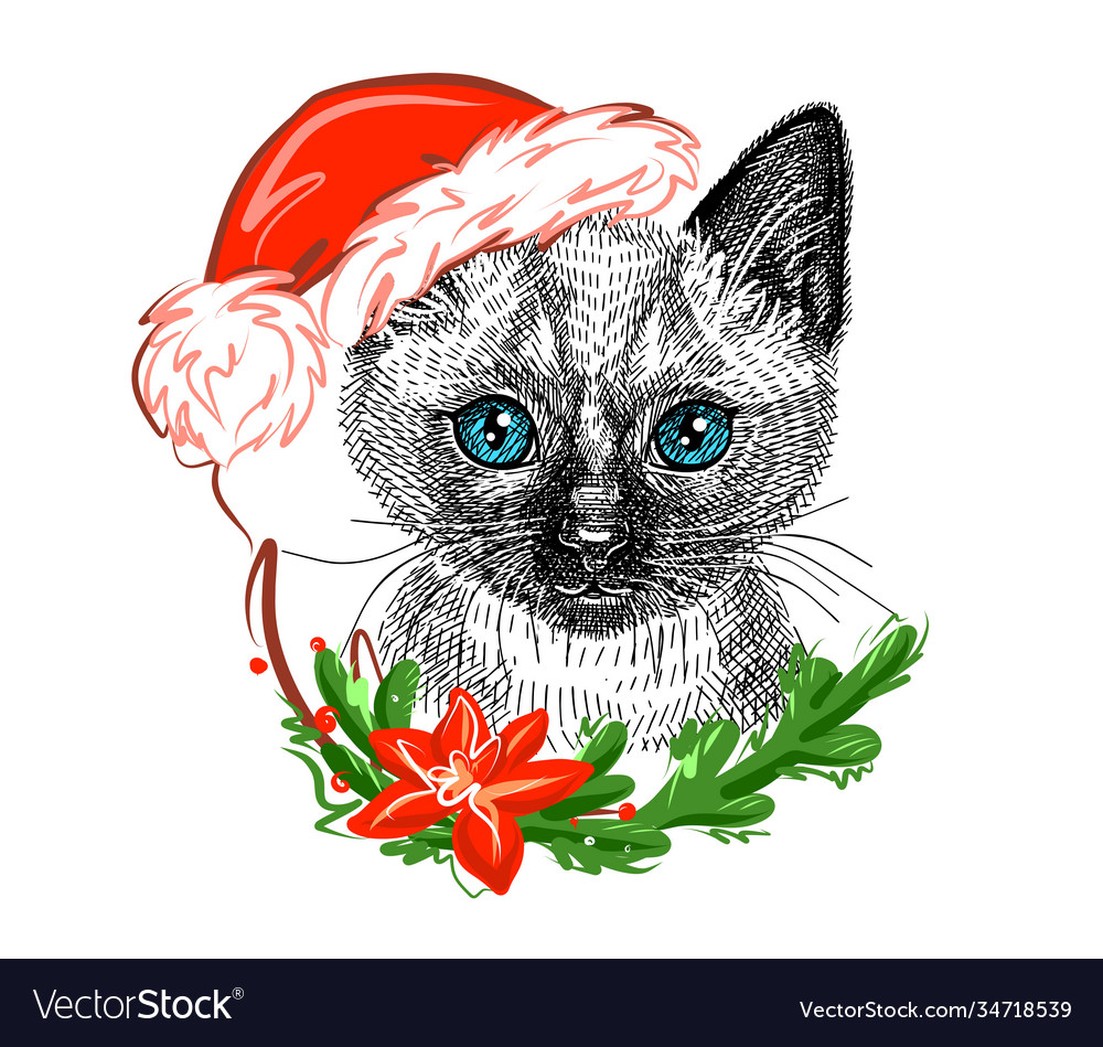 Cute siamese kitten in a christmas