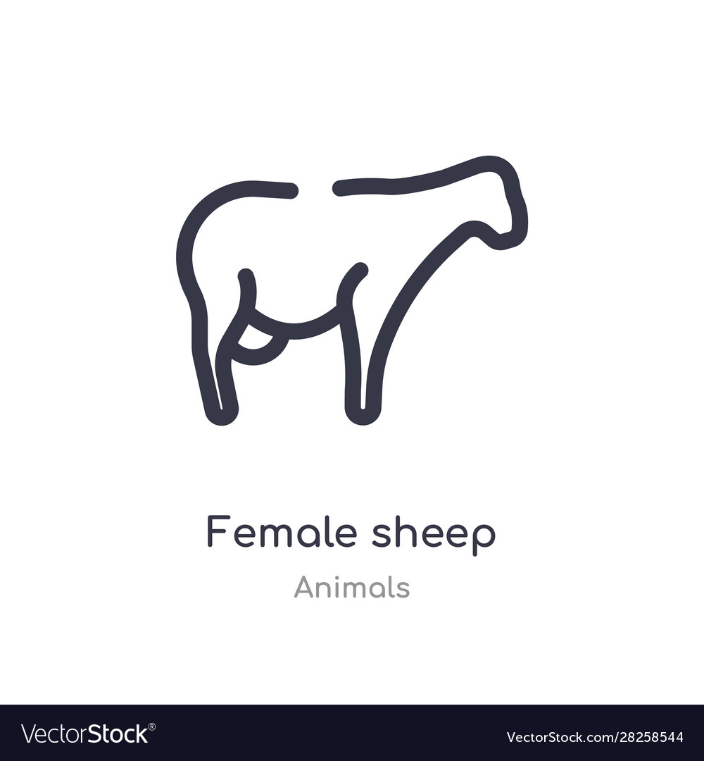 Female sheep outline icon isolated line from