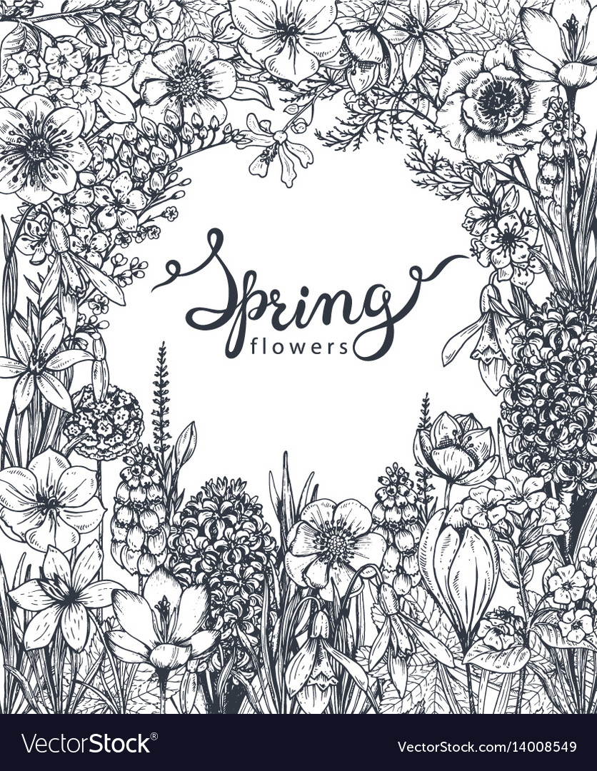 Floral background with hand drawn spring flowers Vector Image