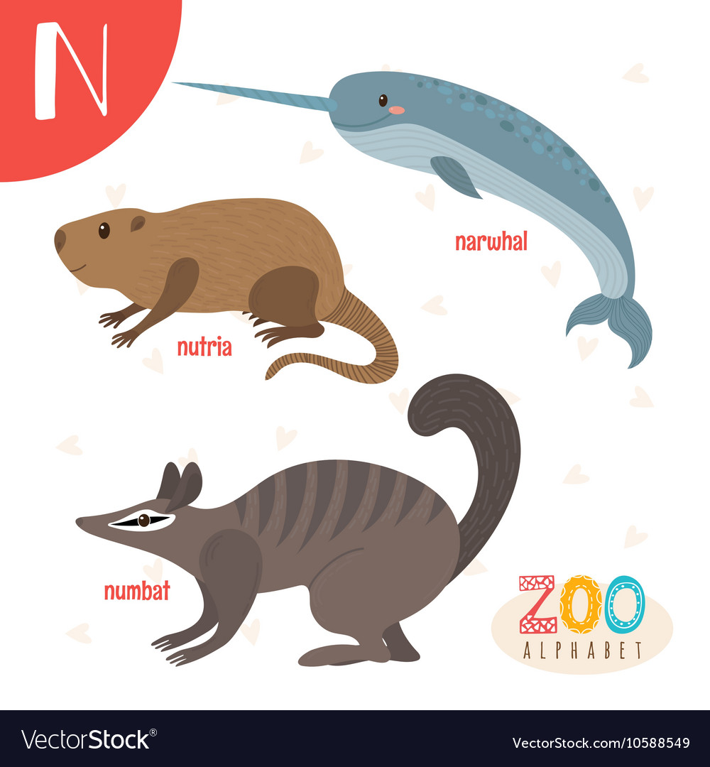 Letter N Animals That Start With N - petfinder