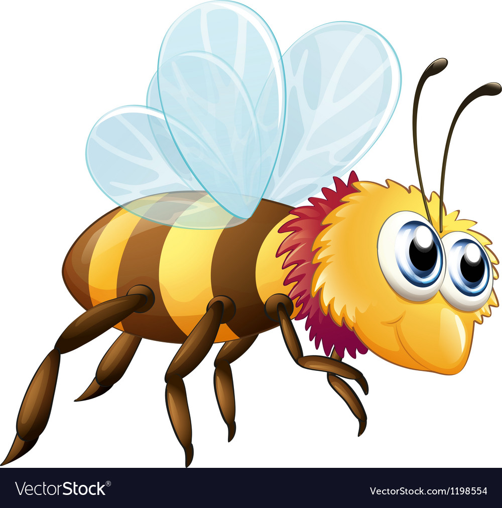 A colorful bee Royalty Free Vector Image - VectorStock