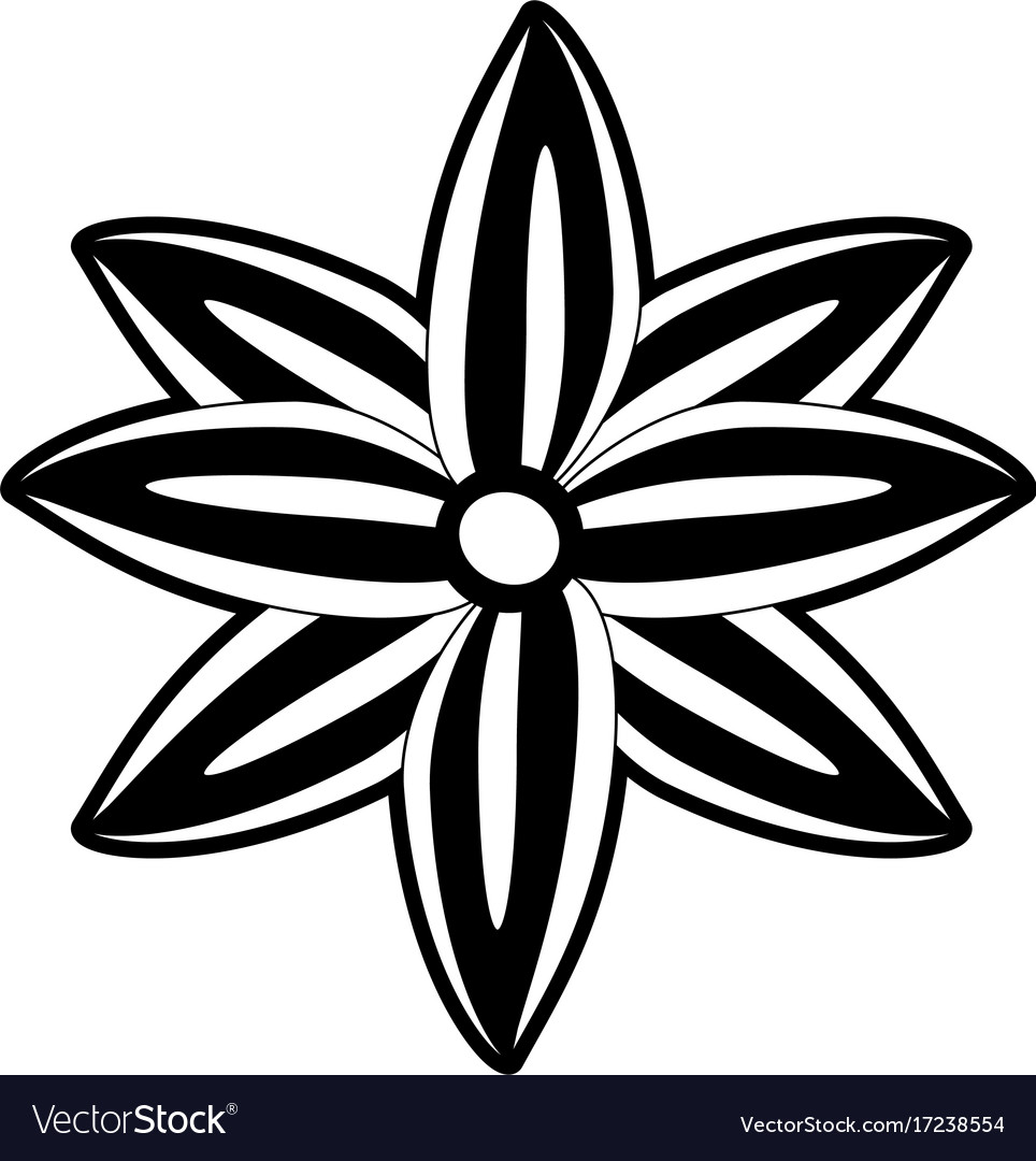 Anise star same icon image