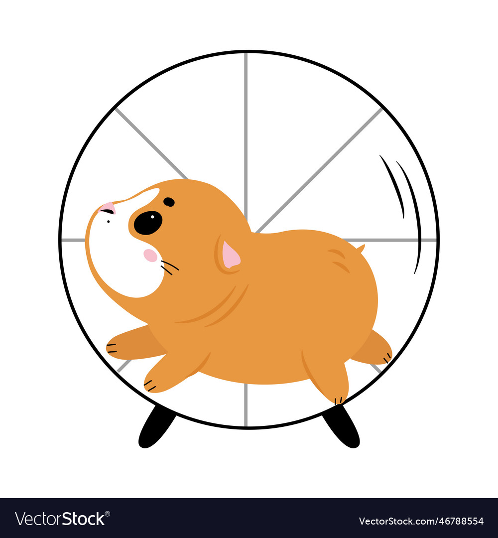 Cute little guinea pig running in wheel cartoon Vector Image