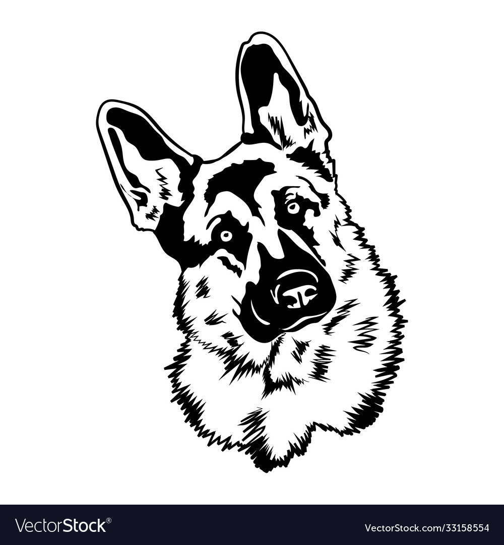 German shepherd svg dog svg files for cricut Vector Image