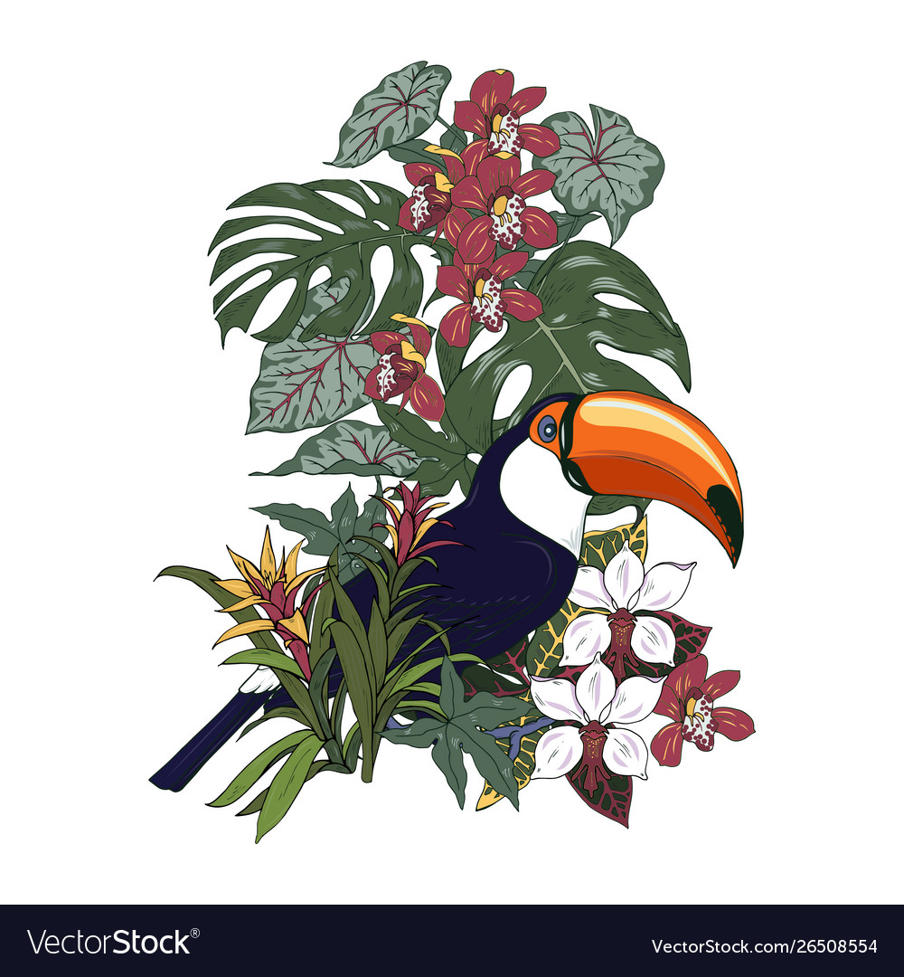 Toucan and tropical plants