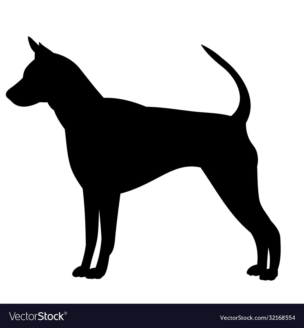 White background black silhouette a dog