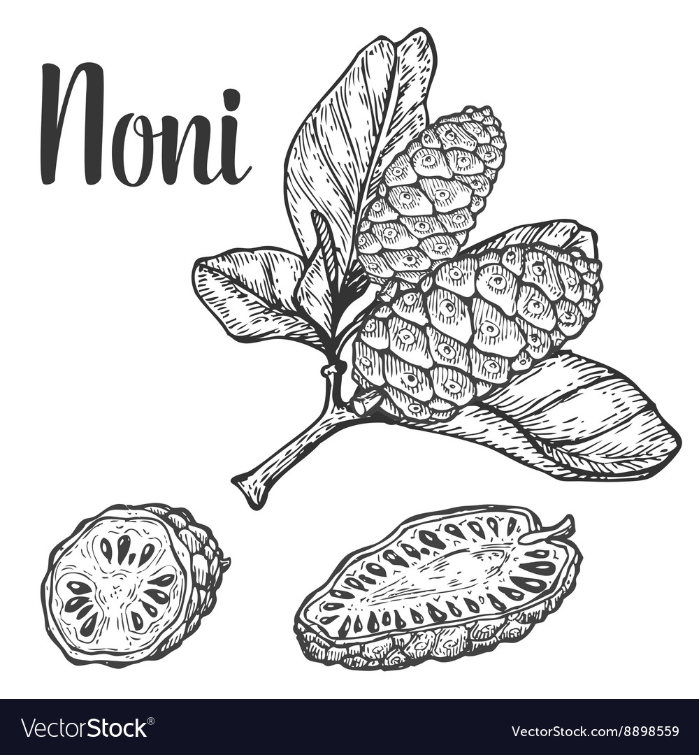Noni Fruit Camu Berry - Superfood & Seed