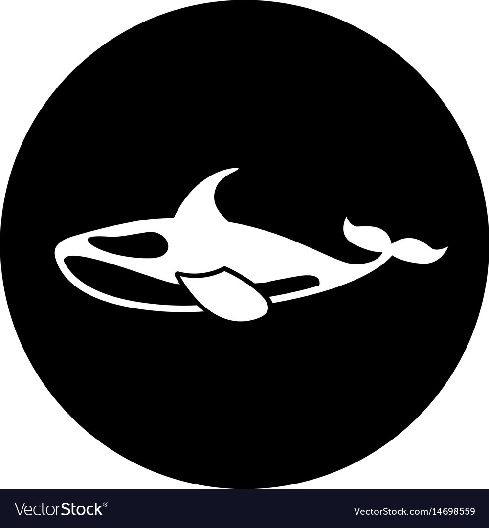 Orca whale isolated icon