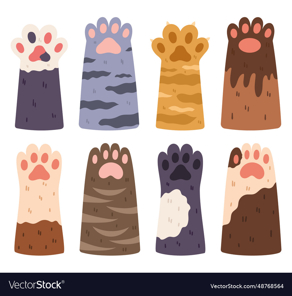 Cat paws set collection of various cute kitten Vector Image