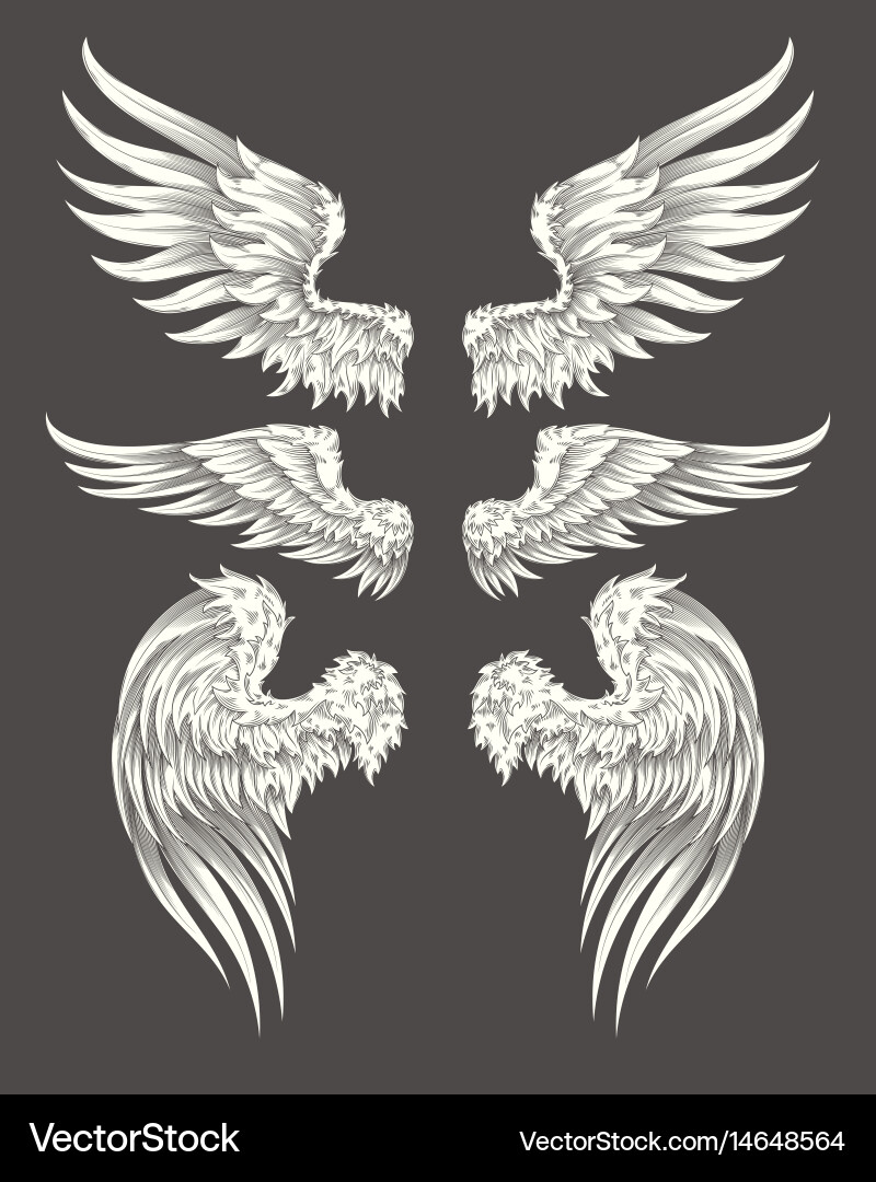 Set angelic or bird wings Royalty Free Vector Image