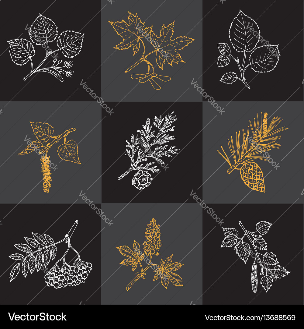Set different tree branches Royalty Free Vector Image