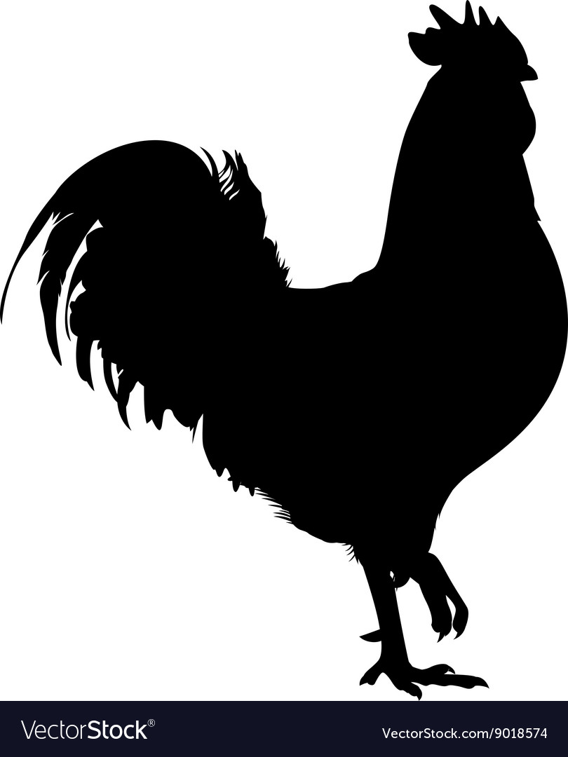 Black Rooster Silhouette